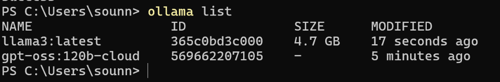 Ollama List Output