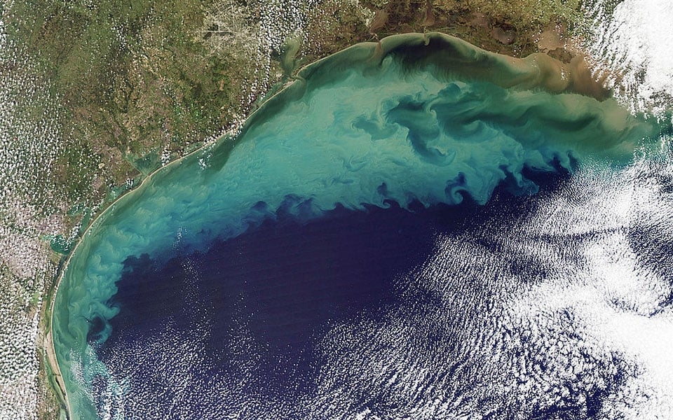 Texas Algae Bloom