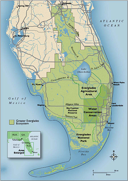 Greater Everglades Ecosystem Map