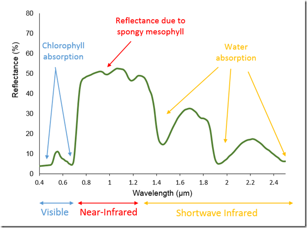 digram showing the reflectance of the electromagnetic spectrum